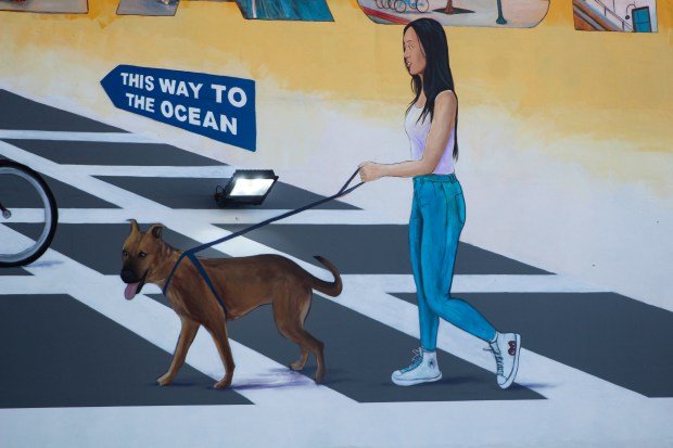 The North Pine neighborhood has a new mural. The mural...