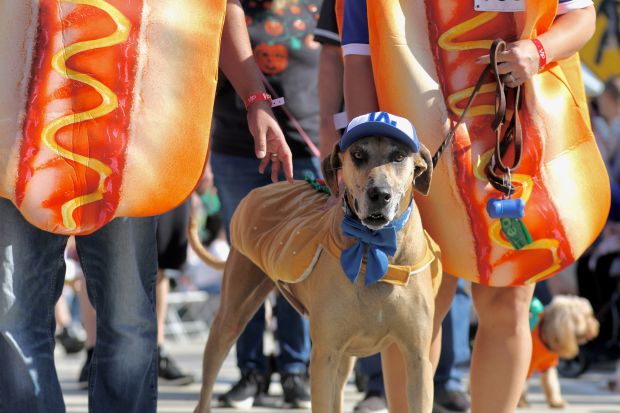 Costumed dogs, their owners and spectators turn out turn out...