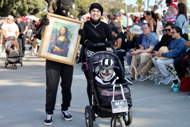 Costumed dogs, their owners and spectators turn out turn out...