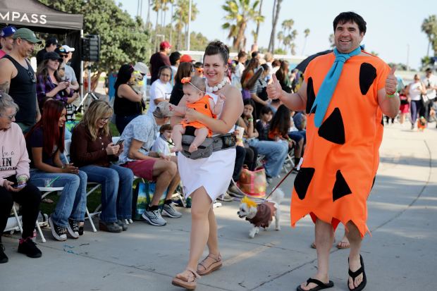 Costumed dogs, their owners and spectators turn out turn out...