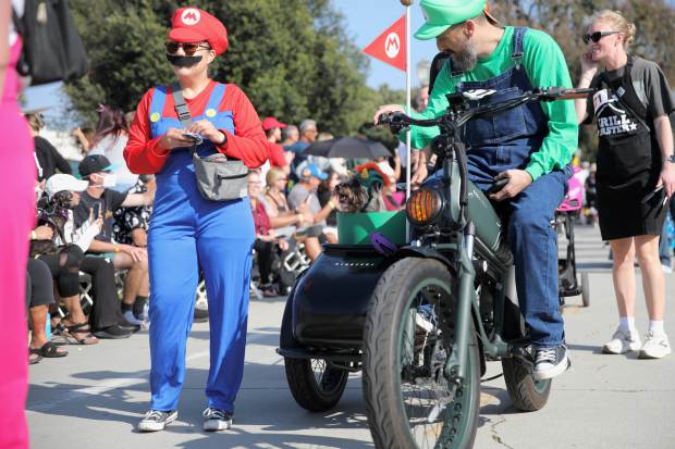 Costumed dogs, their owners and spectators turn out turn out...