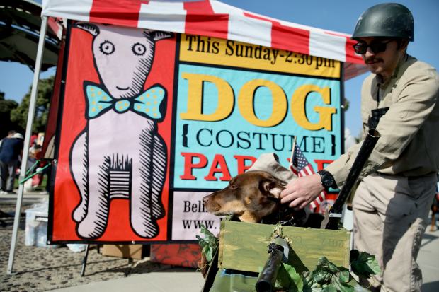 Connor McGill of Los Alamitos and his 4-year-old mixed breed,...