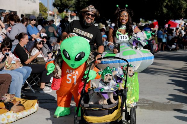 Costumed dogs, their owners and spectators turn out turn out...
