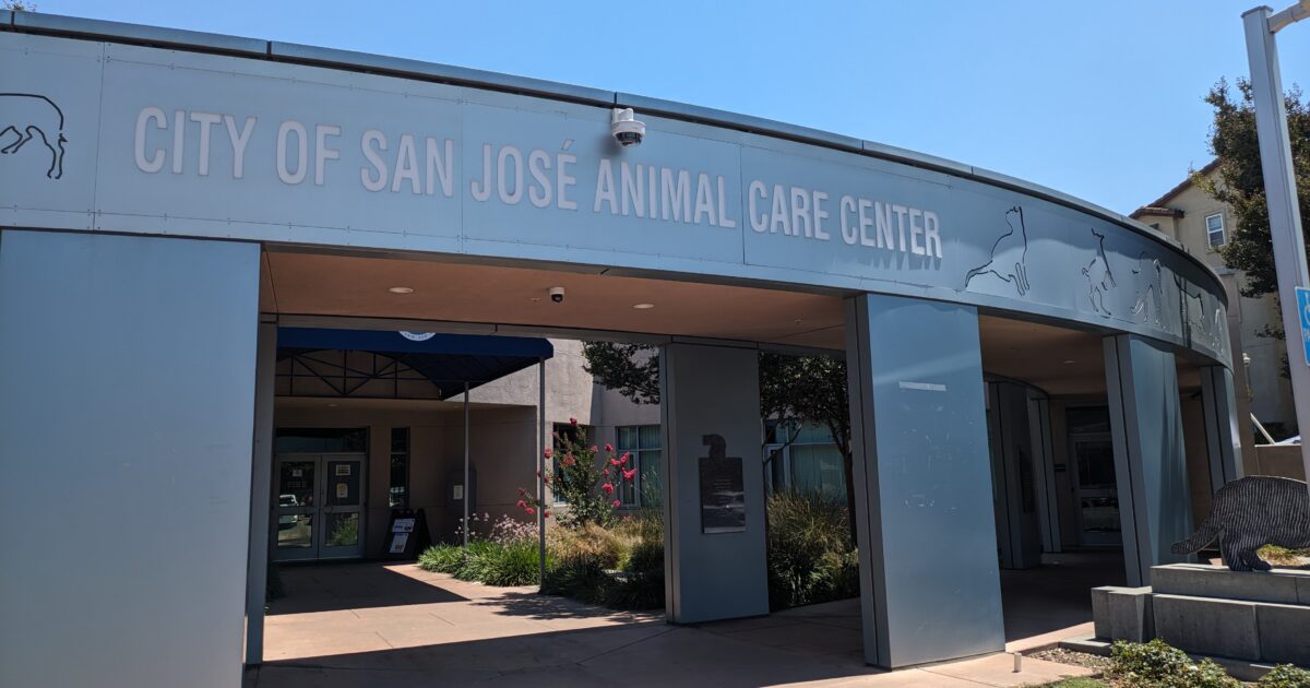 San Jose hires outsider as animal shelter director