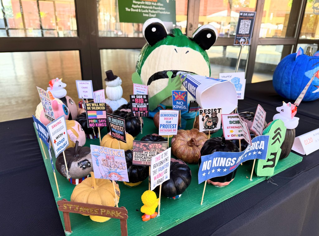 It's a parade of pumpkins at Silicon Valley nonprofit event