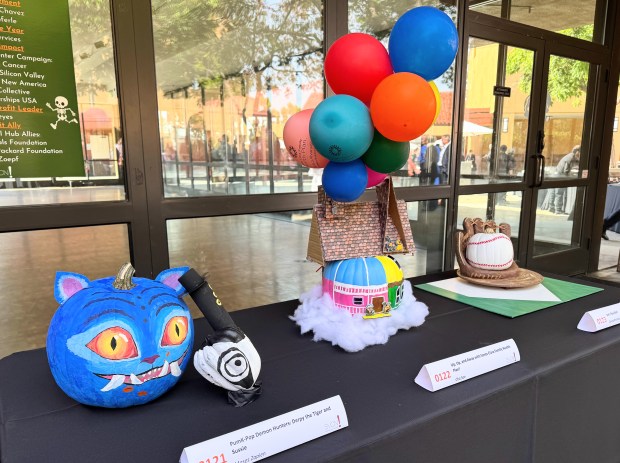 A trio of pumpkins decorated for the Silicon Valley Council...