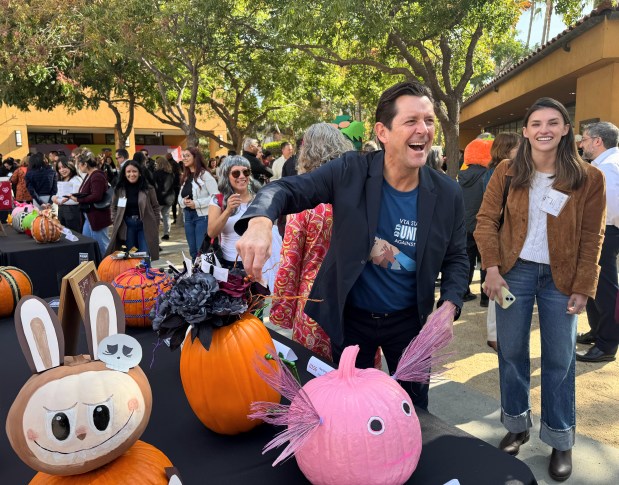 San Jose City Councilmember Michael Mulcahy adds finishing touches to...