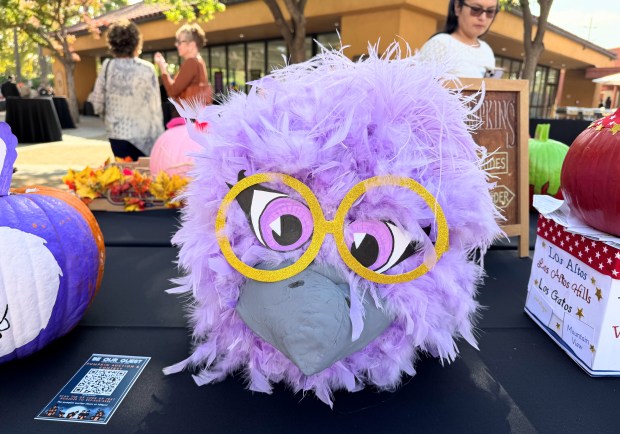 A pumpkin decorated as the Golden State Valkyries mascot was...