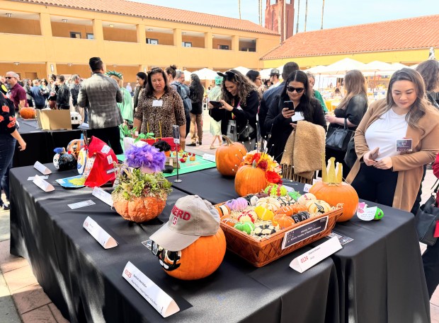 Guests at the Silicon Valley Council of Nonprofits’ “Be Our...