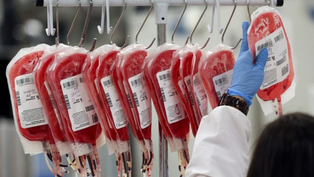 Lab technician Alice Nevarez works with bags of donated blood as she modifys red cells at the San Diego Blood Bank in San Diego on Thursday, Oct. 23, 2025. (Hayne Palmour IV / For The San Diego Union-Tribune)