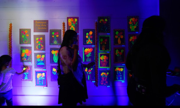 Artwork from hundreds of students from 30 schools in the San Diego Unified School District , including this display from Zamorano Elementary School is on display to honor Dia de los Muertos in Old Town State Historic Park.  (Nelvin C. Cepeda / The San Diego Union-Tribune)