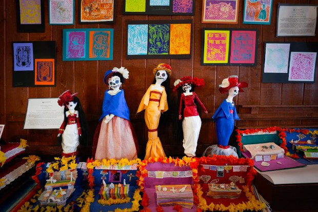 Artwork from hundreds of students from 30 schools in the San Diego Unified School District, including this display from Knox Middle School, is on display to honor Dia de los Muertos in Old Town State Historic Park.  (Nelvin C. Cepeda / The San Diego Union-Tribune)