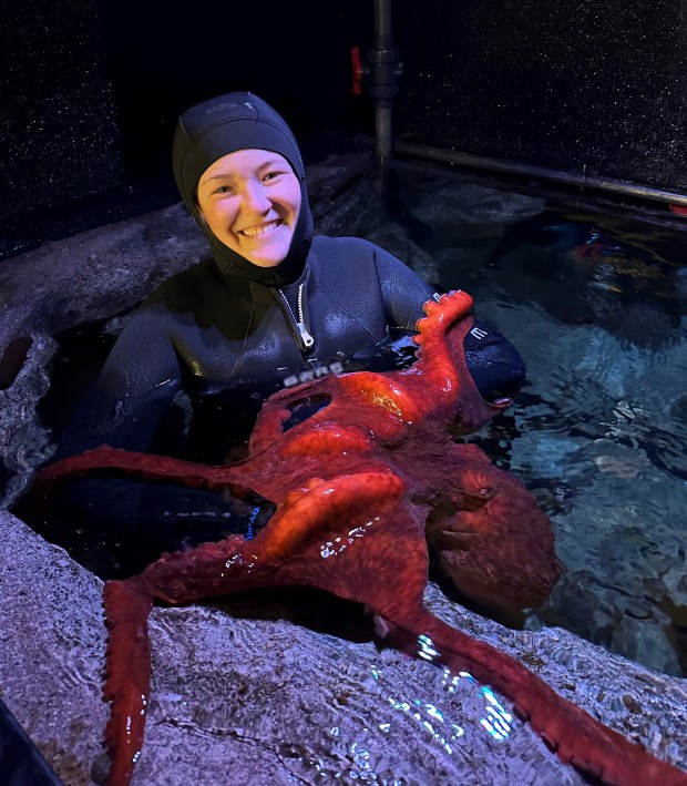 Aquarium of the Pacific aquarist Brooke Hernandez poses with Ghost,...