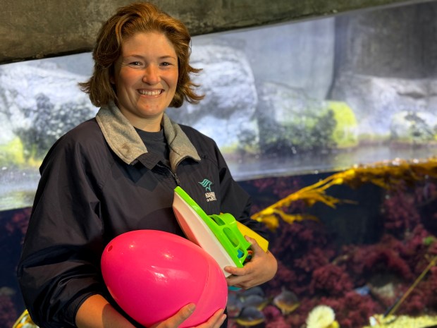 Ghost poses with an underwater pumpkin last year. (Courtesy photo...