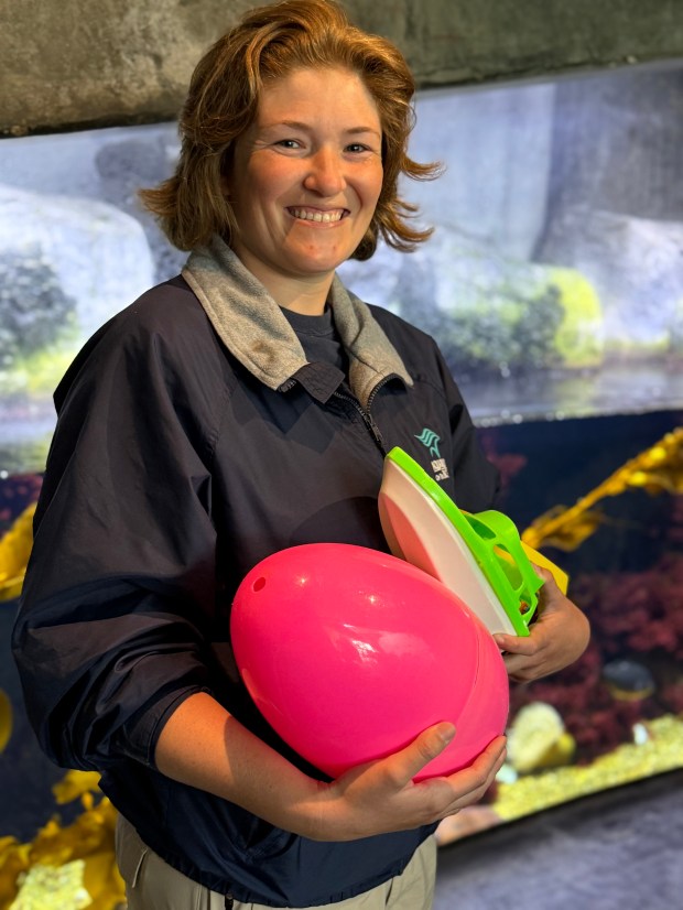 Ghost’s keeper, aquarist Brooke Hernandez, holding some of Ghost’s favorite...