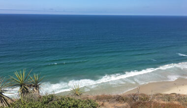 Torrey Pines Reserve to (mostly) close for months starting in November – NBC 7 San Diego