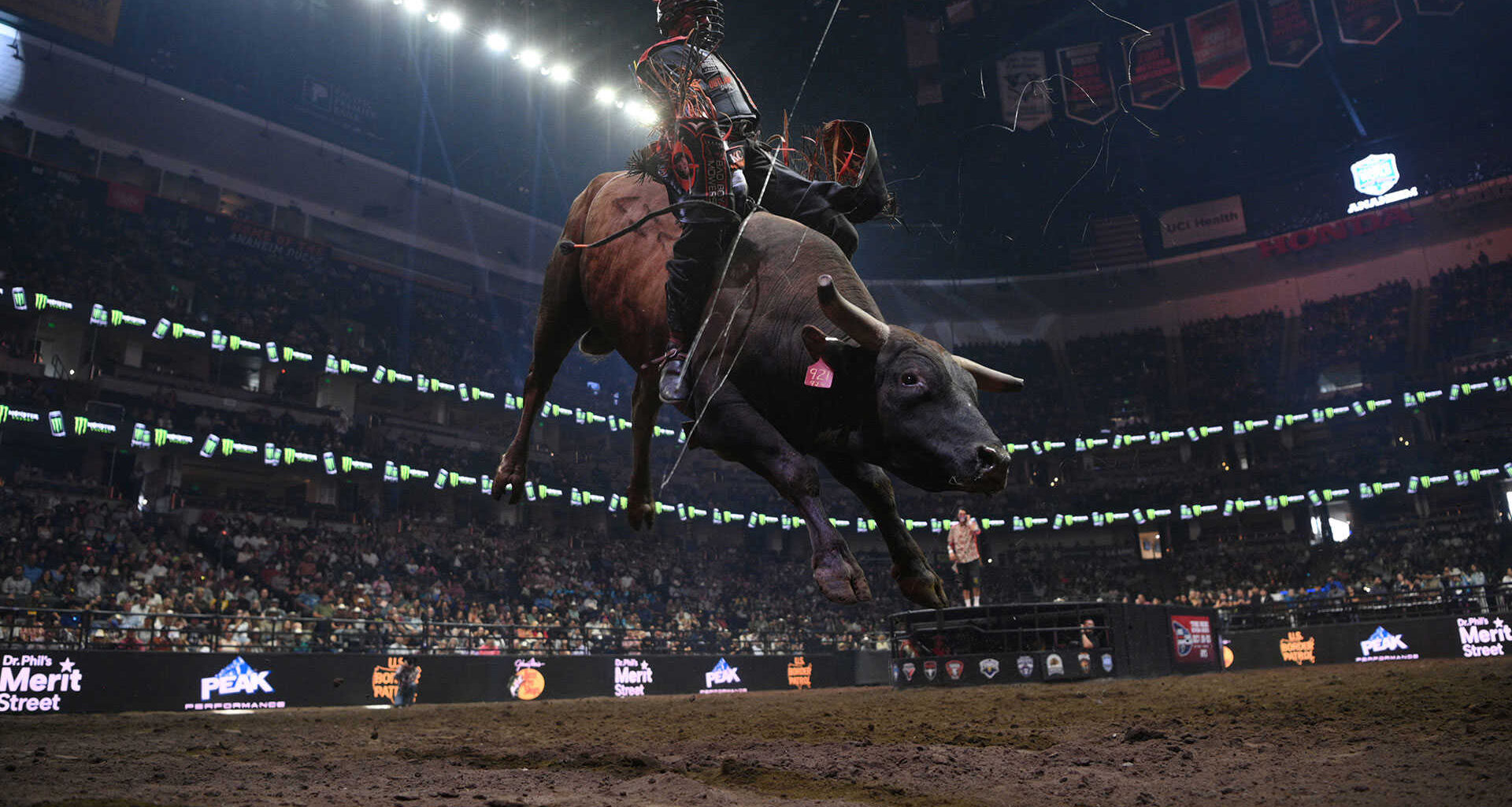 Where to Watch: PBR Teams in Anaheim