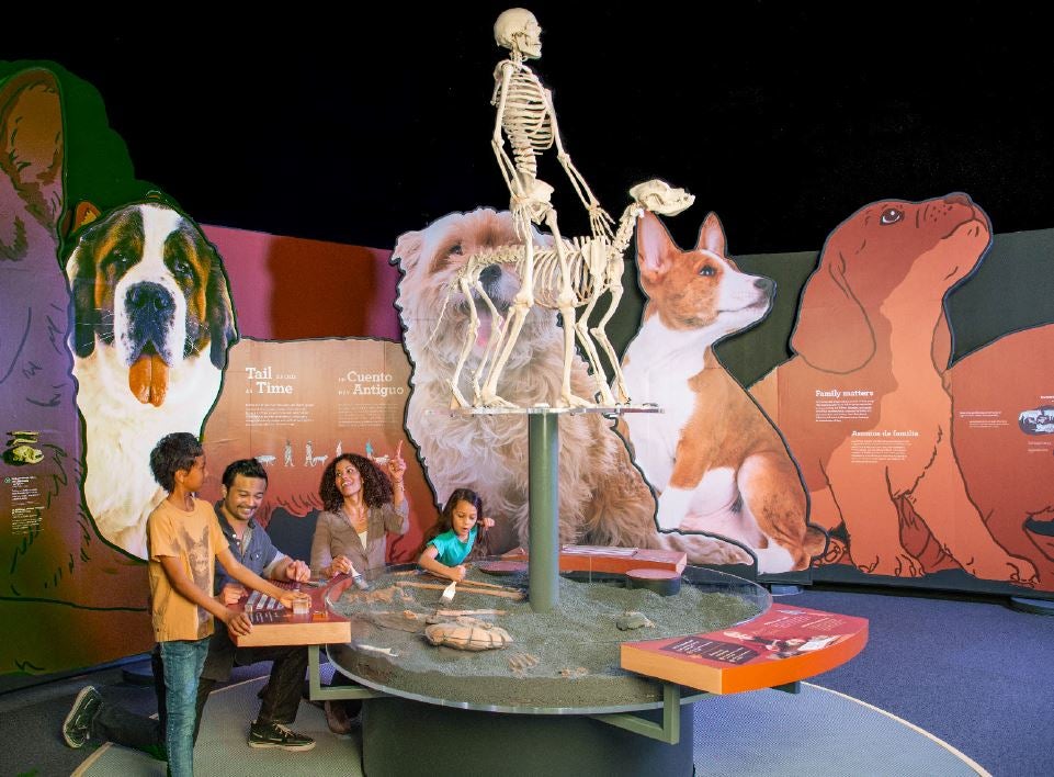 Things to Do in LA with Kids of All Ages