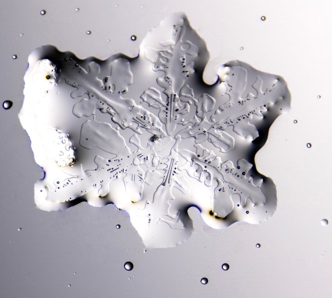 Melting snowflake
