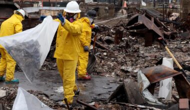The city declares uncleared Pacific Palisades properties a 'public nuisance'