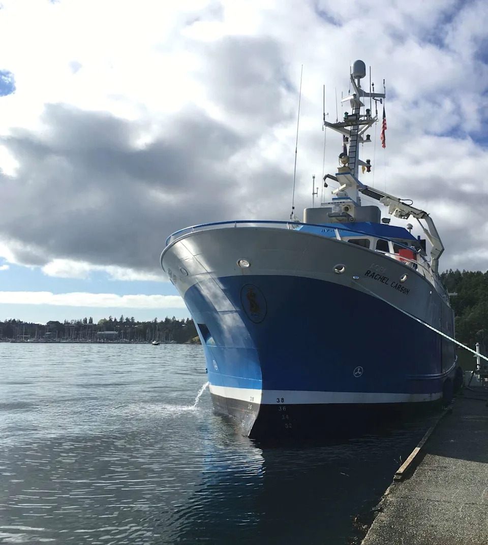 Scientists collected coral samples in the Salish Sea aboard the University of Washington research vessel Rachel Carson in 2020. (Alex Gagnon/University of Washington)