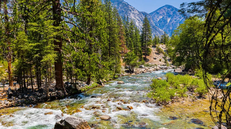 A river running through Kings Canyon National Park
