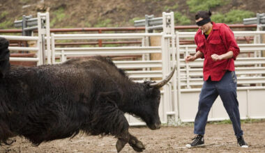 How to Get Tickets and What to Expect