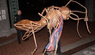 Cal students arrested for cardboard mosquito art prank before Turning Point event