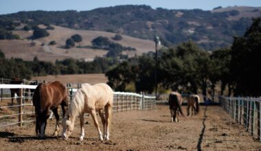 Backlash prompts Santa Clara County to hit pause on agricultural rezoning plan – Santa Cruz Sentinel