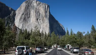 The San Francisco Standard