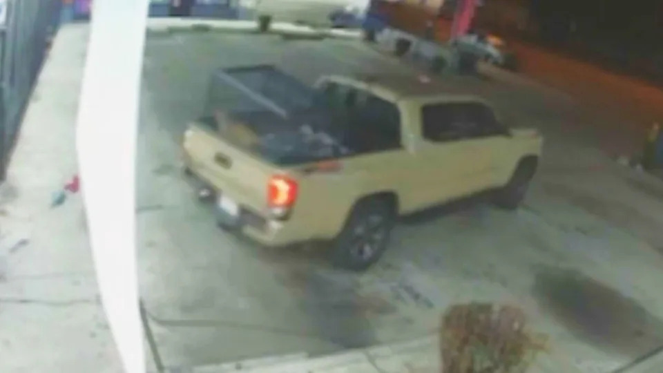 Joe Gomez's cat, Simba, is seen inside his kennel on the back of the burglars' truck on Nov. 27, 2025. (LA Fresh Cuts)