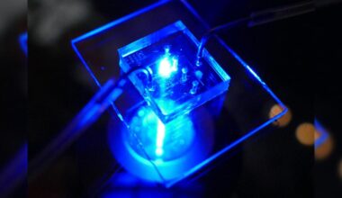 UC Berkeley-led study reveals heart disease treatment using chip model | Research And Ideas