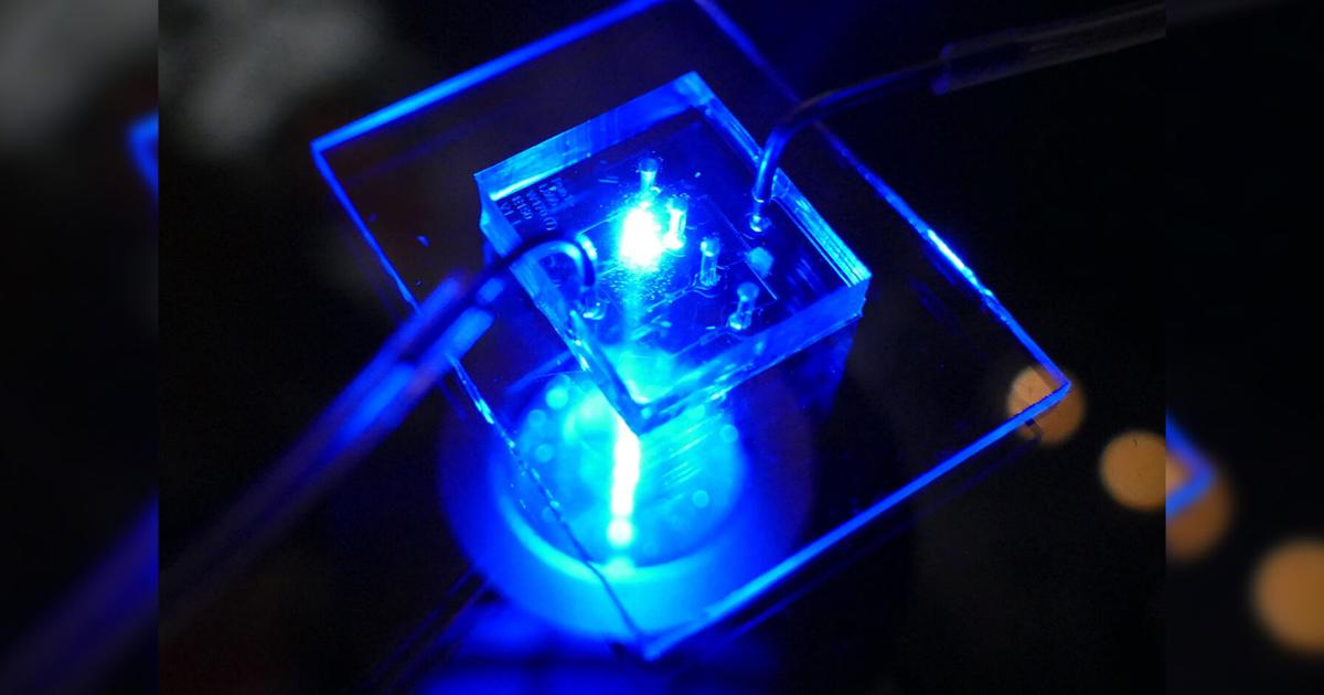 UC Berkeley-led study reveals heart disease treatment using chip model | Research And Ideas