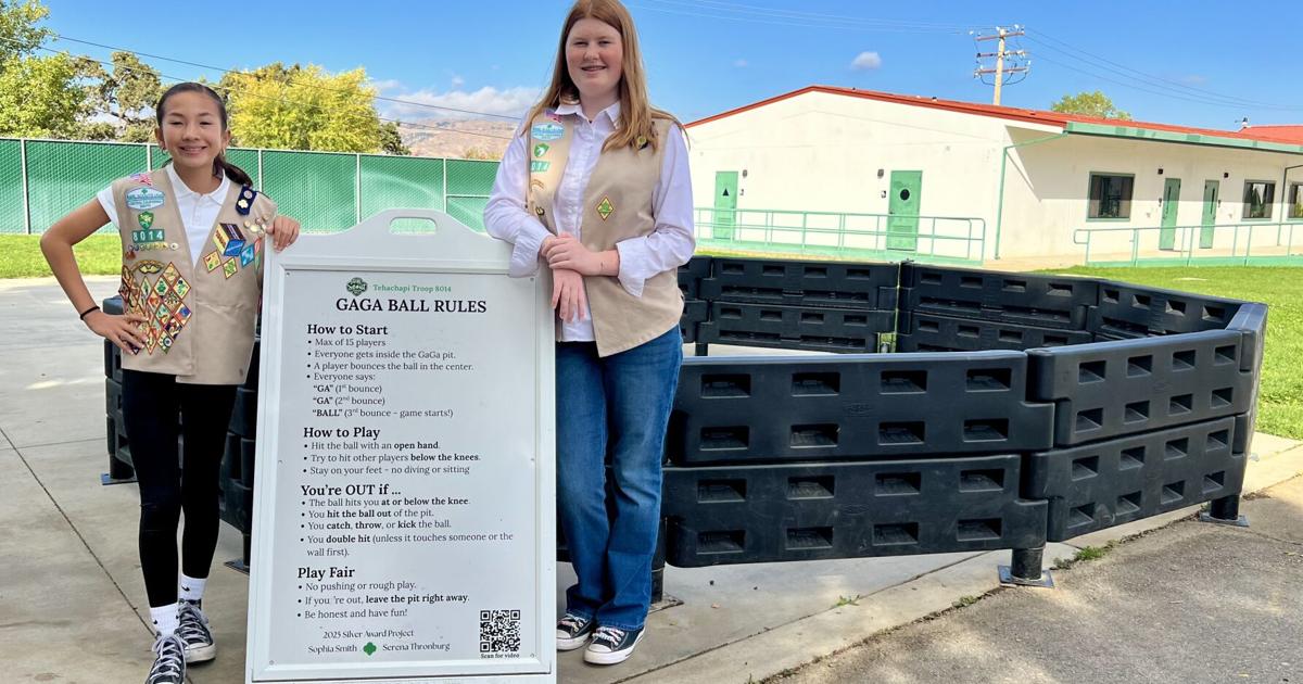 Gaga for Silver – Girl Scout Silver Award Project | Lifestyle