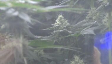 Northern California Coalition to Safeguard Commuties urges citizens to stay alert in winter PSA | Local-news