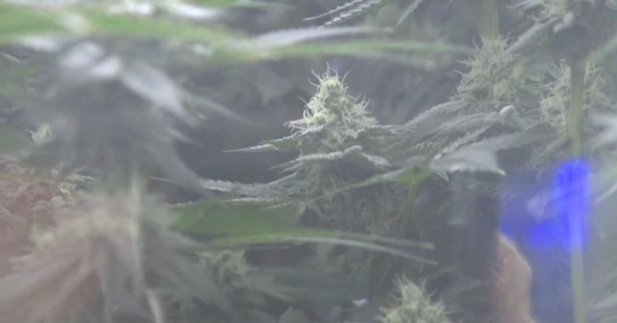 Northern California Coalition to Safeguard Commuties urges citizens to stay alert in winter PSA | Local-news