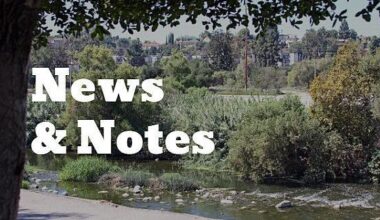 Eastside eateries rally to aid SNAP recipients | Eastsider on the Go