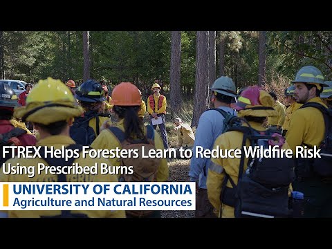 FTREX Helps Foresters Learn to Reduce Wildfire Risk Using Prescribed Burns