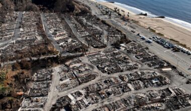 (AP Photo/Jae C. Hong)