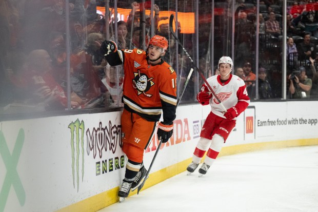 Ducks right wing Troy Terry (19) celebrates after his goal...