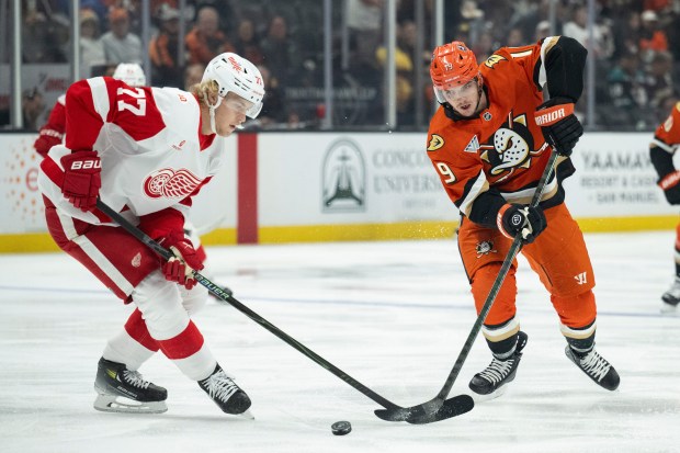 Ducks right wing Troy Terry (19) and Detroit Red Wings...