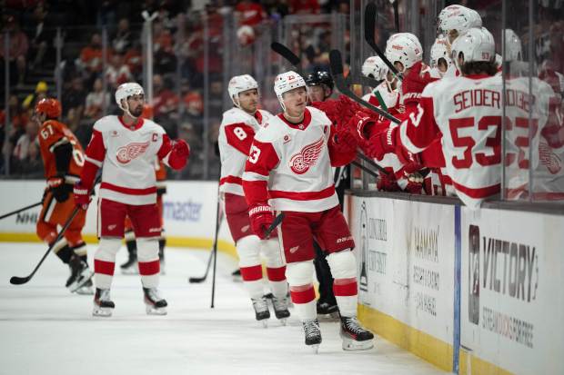 Detroit Red Wings left wing Lucas Raymond (23) celebrates his...
