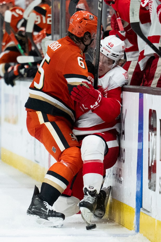 Ducks defenseman Jacob Trouba (65) checks Detroit Red Wings right...