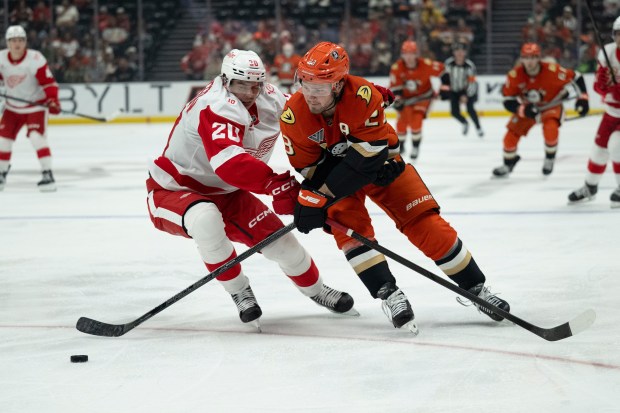 Ducks center Mason McTavish (23) controls the puck away from...