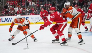 Ducks surrender 6 goals in loss to Red Wings – Orange County Register