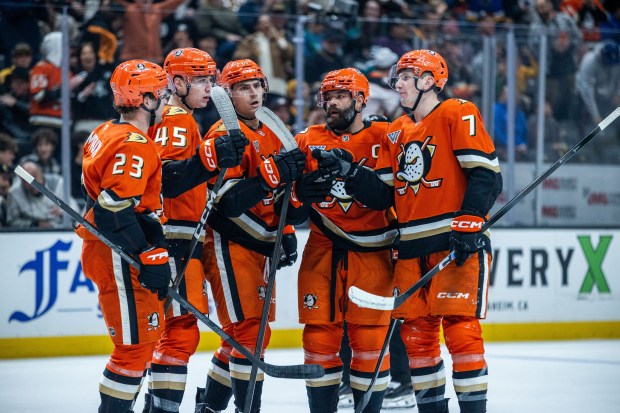 Ducks players celebrate after a goal during the first period...