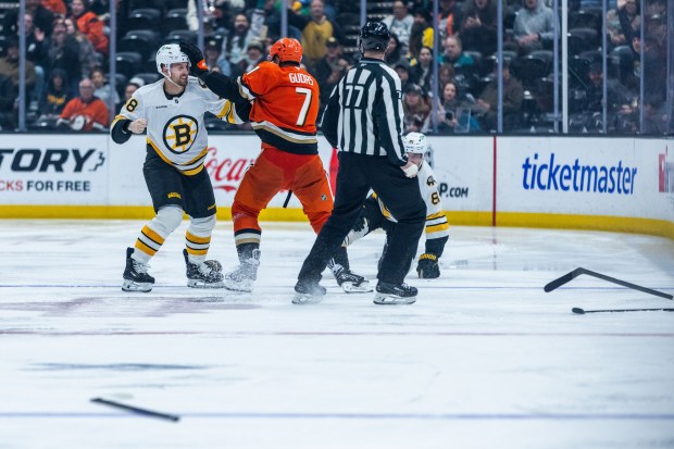 Boston Bruins left wing Jeffrey Viel, left, and Ducks defenseman...