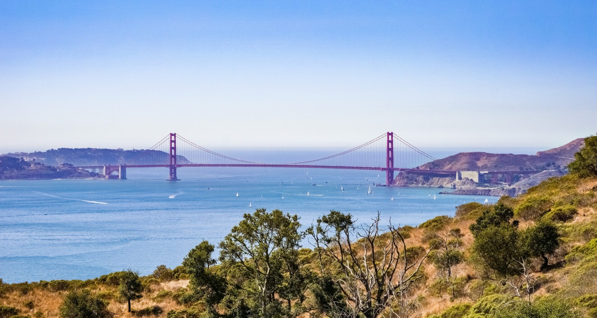 Hosting for the Holidays? Crowd-Pleasing Places to Take Visitors in the Bay Area