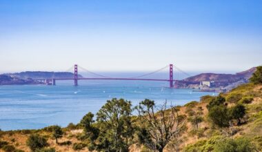 Hosting for the Holidays? Crowd-Pleasing Places to Take Visitors in the Bay Area