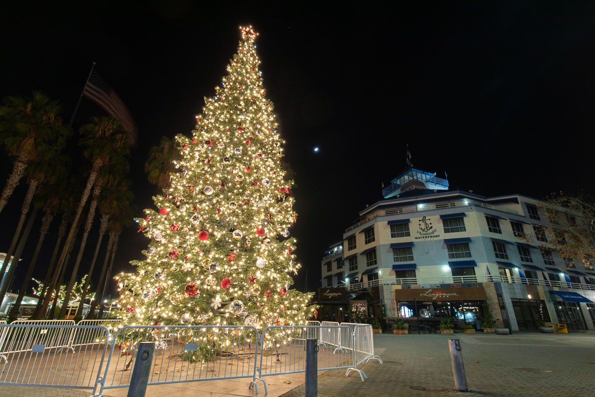 Christmas Tree in Jack London Square, Oakland, California
